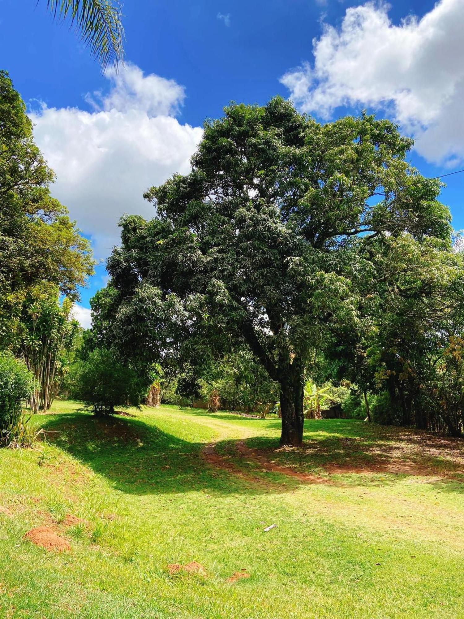 Sitio Pand'Oro Villa Atibaia Bagian luar foto
